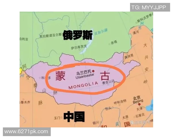 法国与俄罗斯实力对比分析谁更具优势与潜力